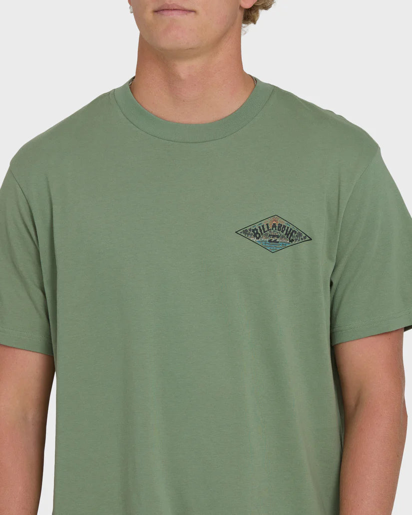 Billabong Men's Scenic Arch Adiv Premium Short Sleeve T-Shirt
