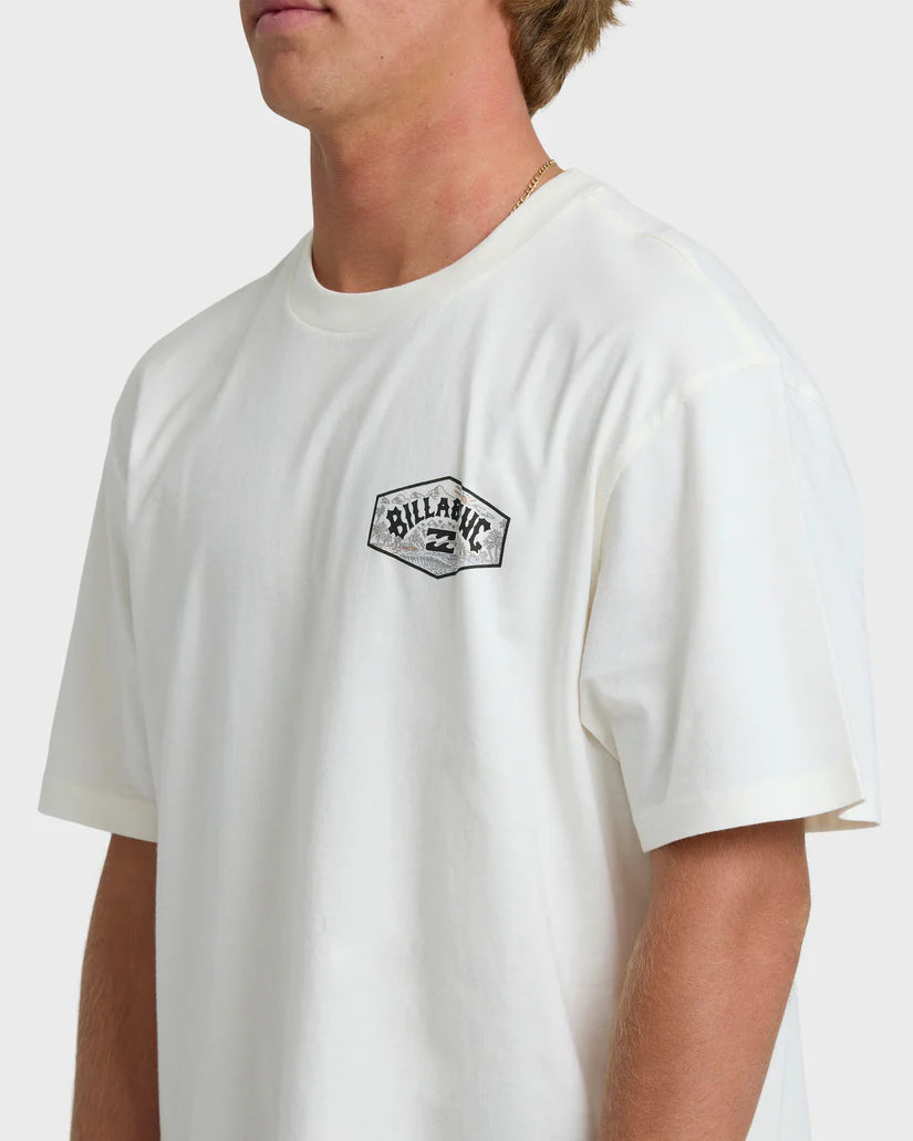 Billabong Men's Scenic Arch Adiv Premium Short Sleeve T-Shirt