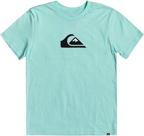 Quiksilver Men's Comp Logo Short Sleeve T-Shirt