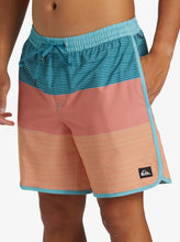 Load image into Gallery viewer, Quiksilver Boy&#39;s Surfsilk Tijuana Volley 14&quot; Elastic Waist Shorts