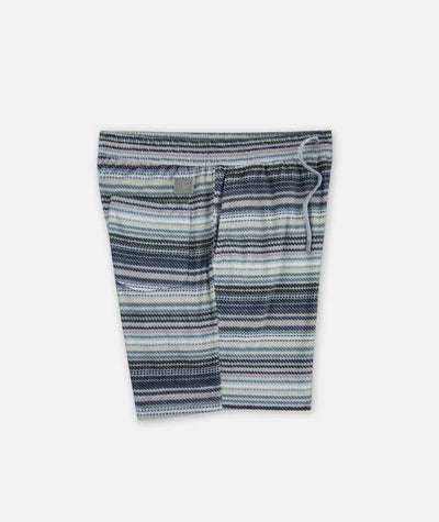 Jetty Mens Concordia Fleece Shorts