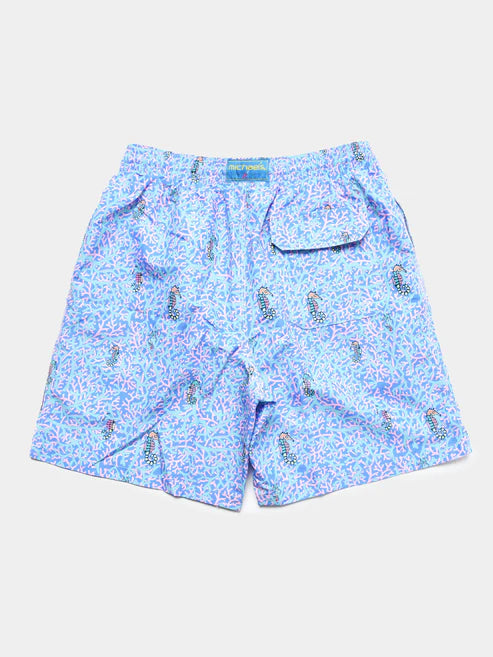 Michaels Mens Rainbow Seahorses Swim Trunks with Lycra Compression Liner