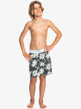 Load image into Gallery viewer, Quiksilver Boy&#39;s Surfsilk Washed Sessions 15&quot; Boardshorts