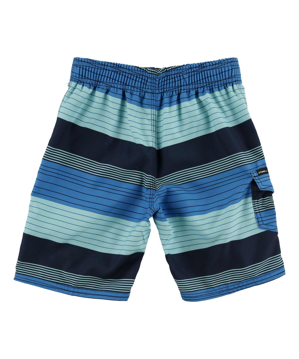 O'Neill Boy's Santa Cruz Stripe Boardshorts