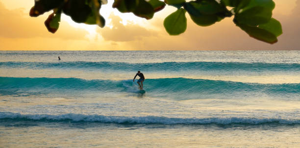 Best Surf Spots in the Caribbean: Barbados (Best Spots)