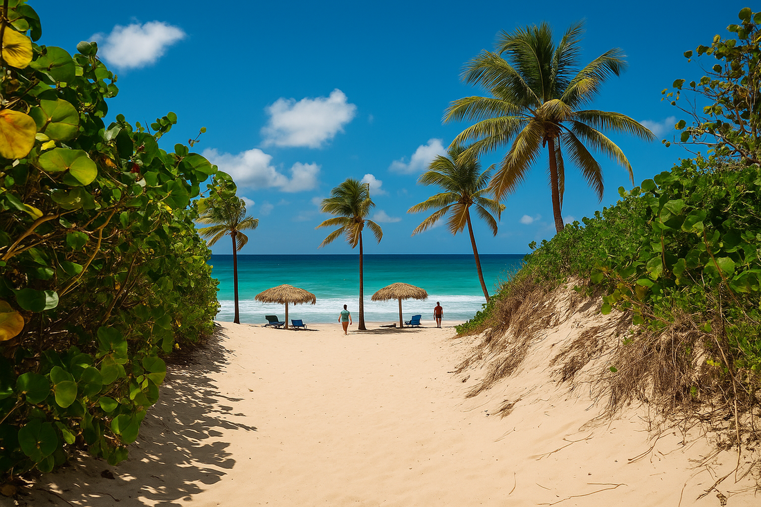 Best Surf Spots In The Carribean, Turks & Caicos