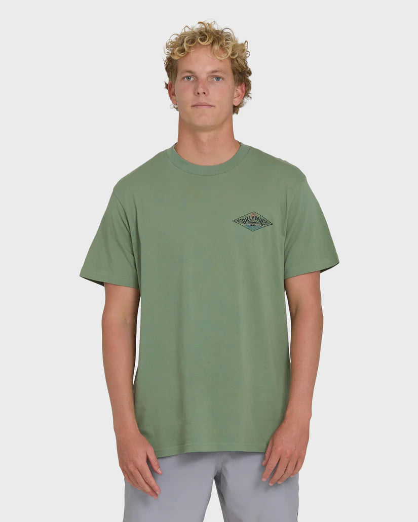 Billabong Men's Scenic Arch Adiv Premium Short Sleeve T-Shirt