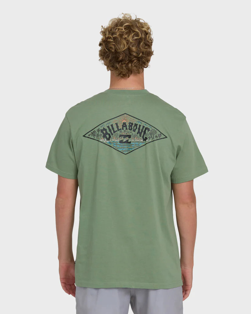 Billabong Men's Scenic Arch Adiv Premium Short Sleeve T-Shirt