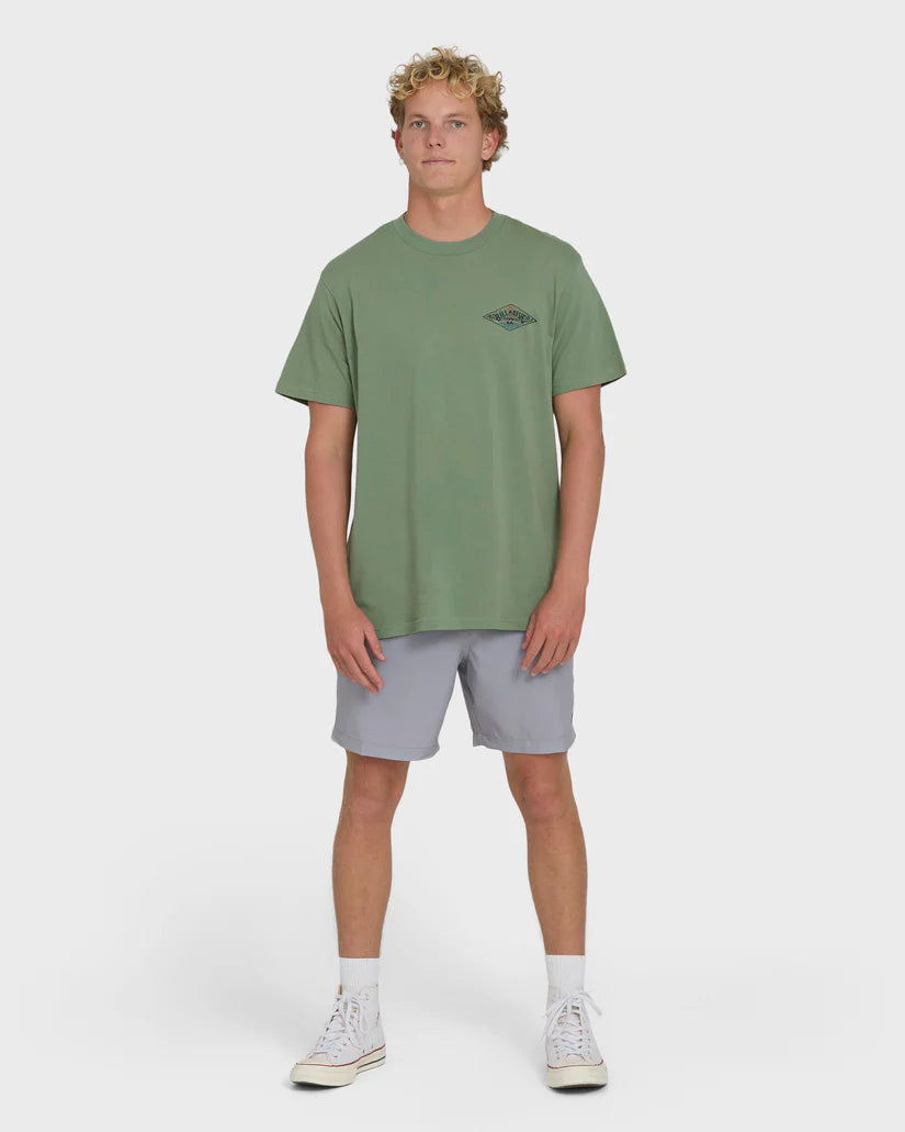 Billabong Men's Scenic Arch Adiv Premium Short Sleeve T-Shirt