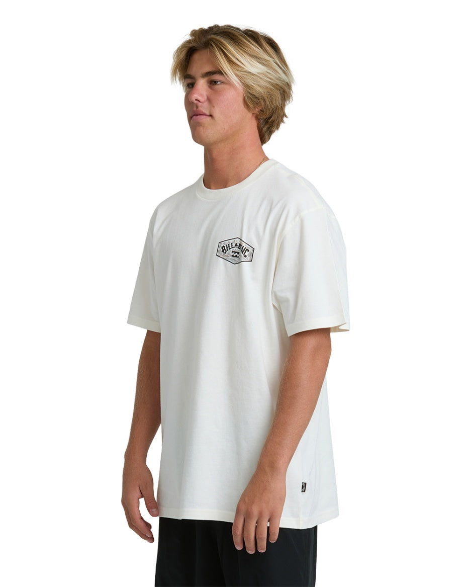 Billabong Men's Scenic Arch Adiv Premium Short Sleeve T-Shirt