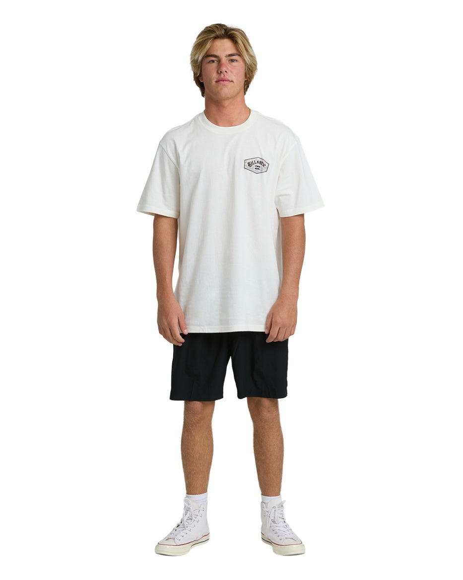 Billabong Men's Scenic Arch Adiv Premium Short Sleeve T-Shirt