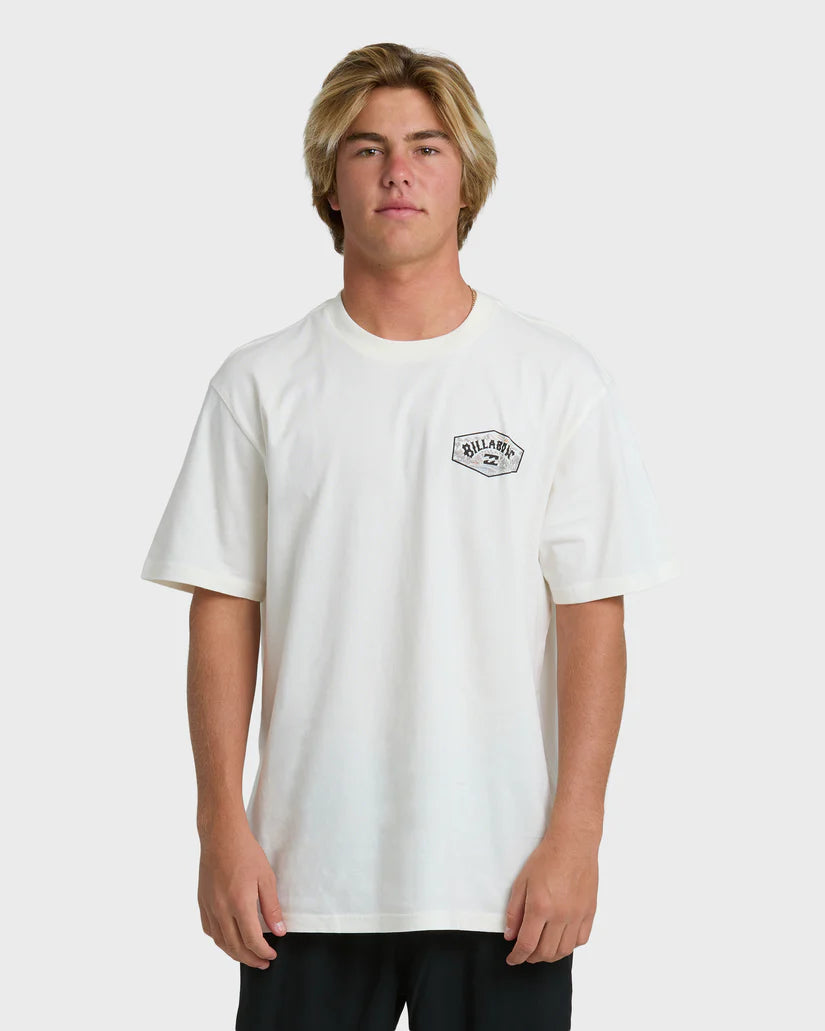Billabong Men's Scenic Arch Adiv Premium Short Sleeve T-Shirt