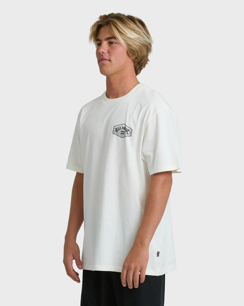 Billabong Men's Scenic Arch Adiv Premium Short Sleeve T-Shirt