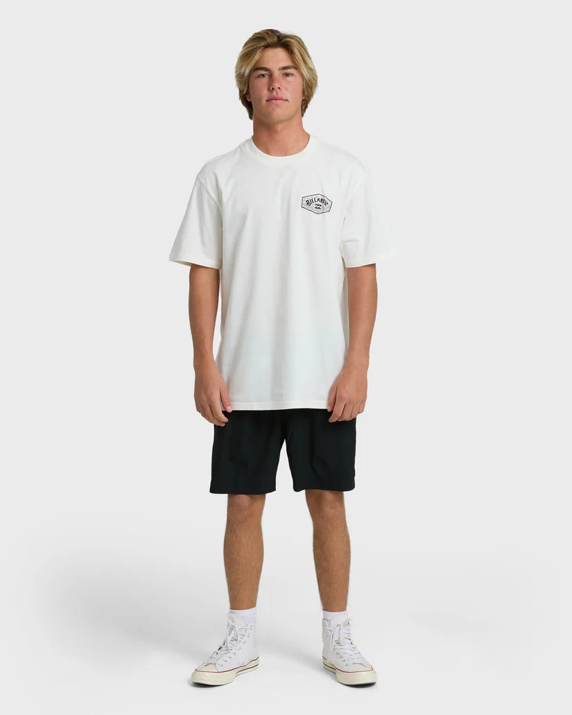 Billabong Men's Scenic Arch Adiv Premium Short Sleeve T-Shirt