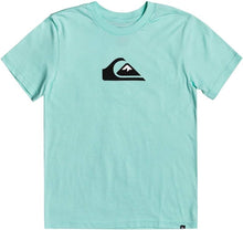 Laden Sie das Bild in den Galerie-Viewer, Quiksilver Herren Comp Logo Kurzarm-T-Shirt