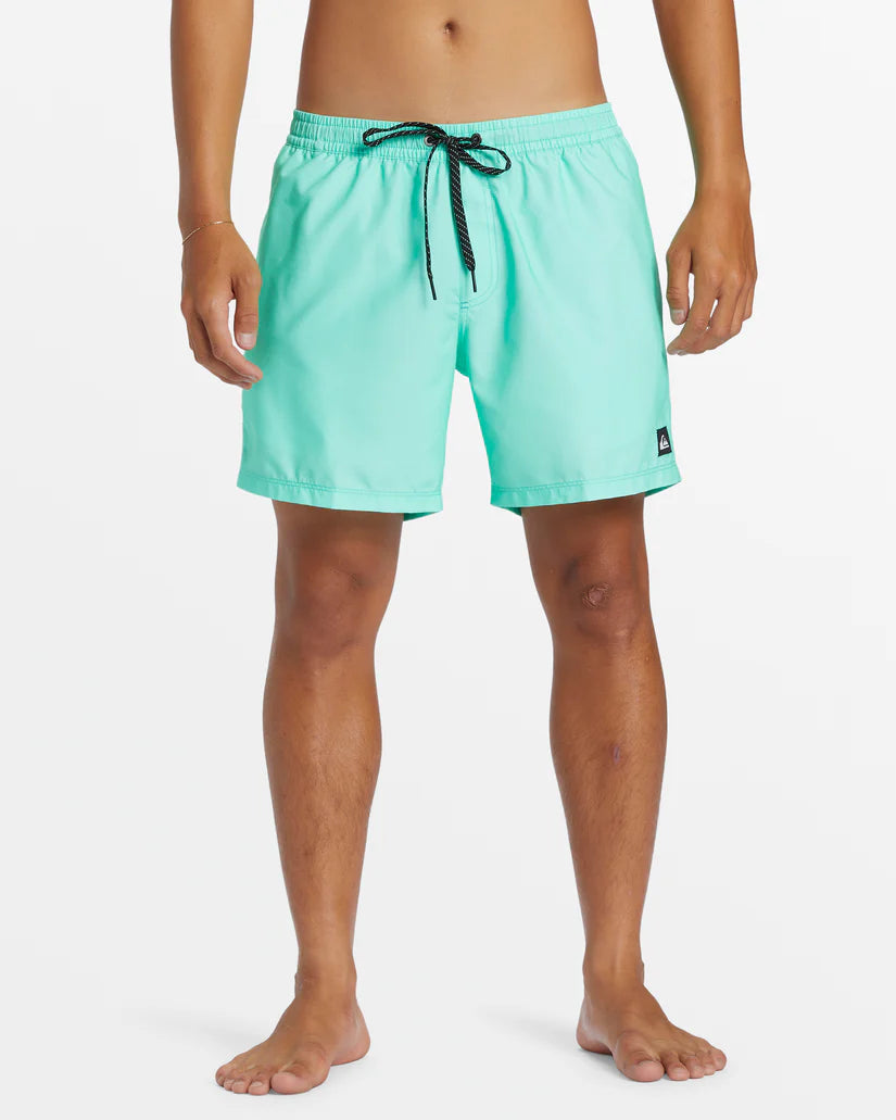 Quiksilver Men's Everyday Solid Volley 15" Swim Shorts