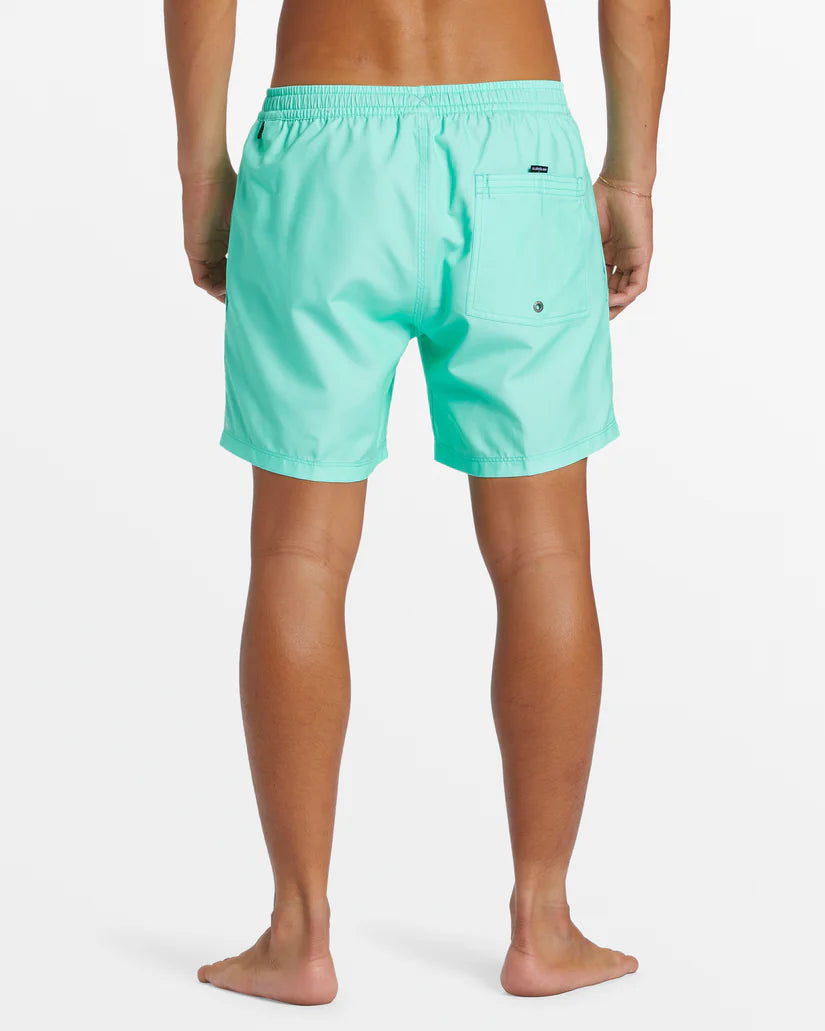 Quiksilver Men's Everyday Solid Volley 15" Swim Shorts