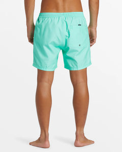 Quiksilver Everyday Solid Volley 15" Badeshorts für Männer