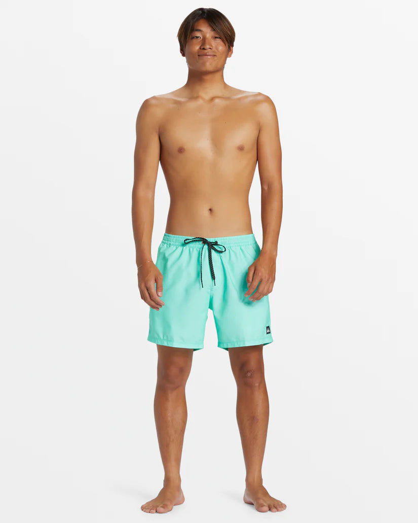 Quiksilver Men's Everyday Solid Volley 15" Swim Shorts