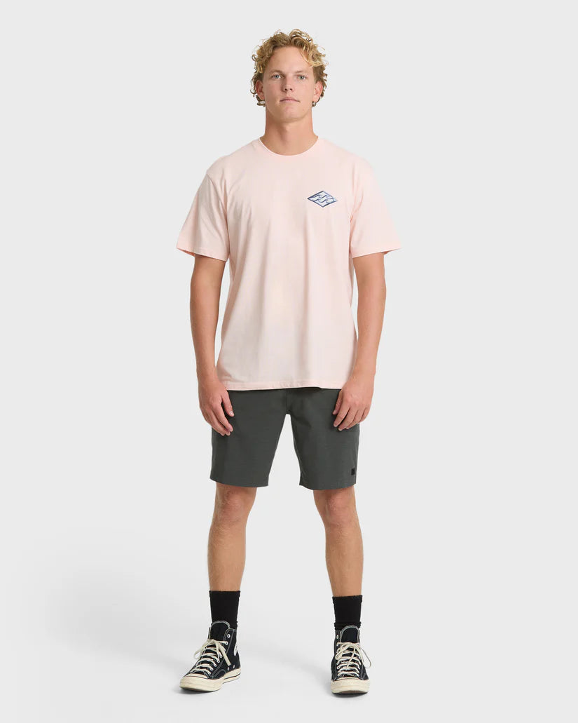 Billabong Men's Dim Arch Premium Knit Short Sleeve T-Shirt