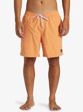 Load image into Gallery viewer, Quiksilver Men&#39;s Everyday Solid Volley 17&quot; Swim Shorts