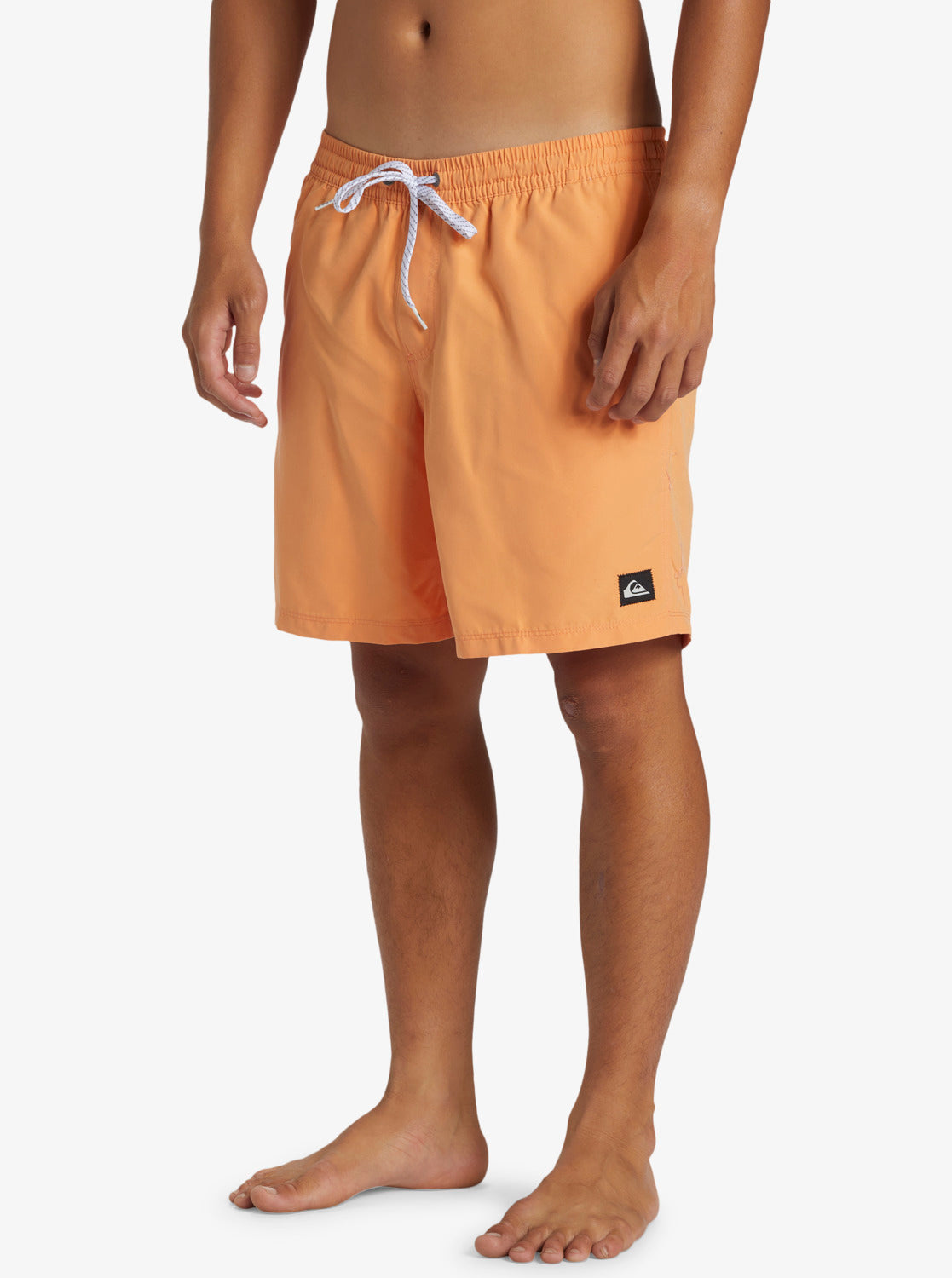 Quiksilver Men's Everyday Solid Volley 17" Swim Shorts