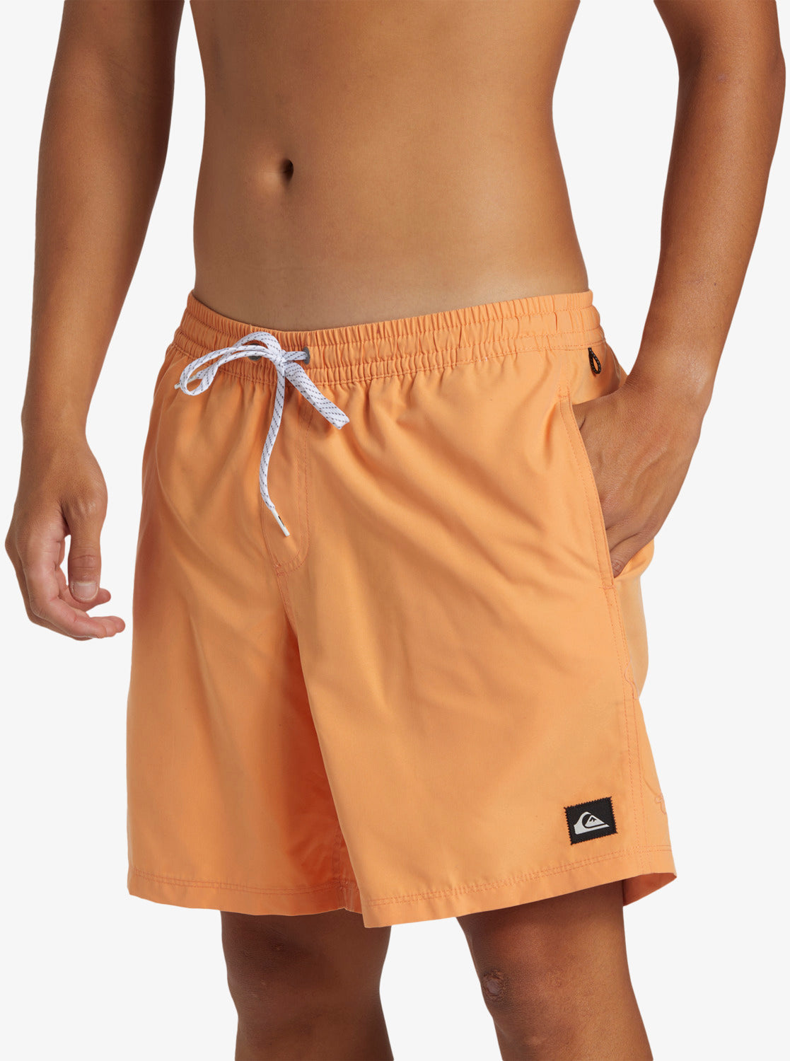 Quiksilver Men's Everyday Solid Volley 17" Swim Shorts