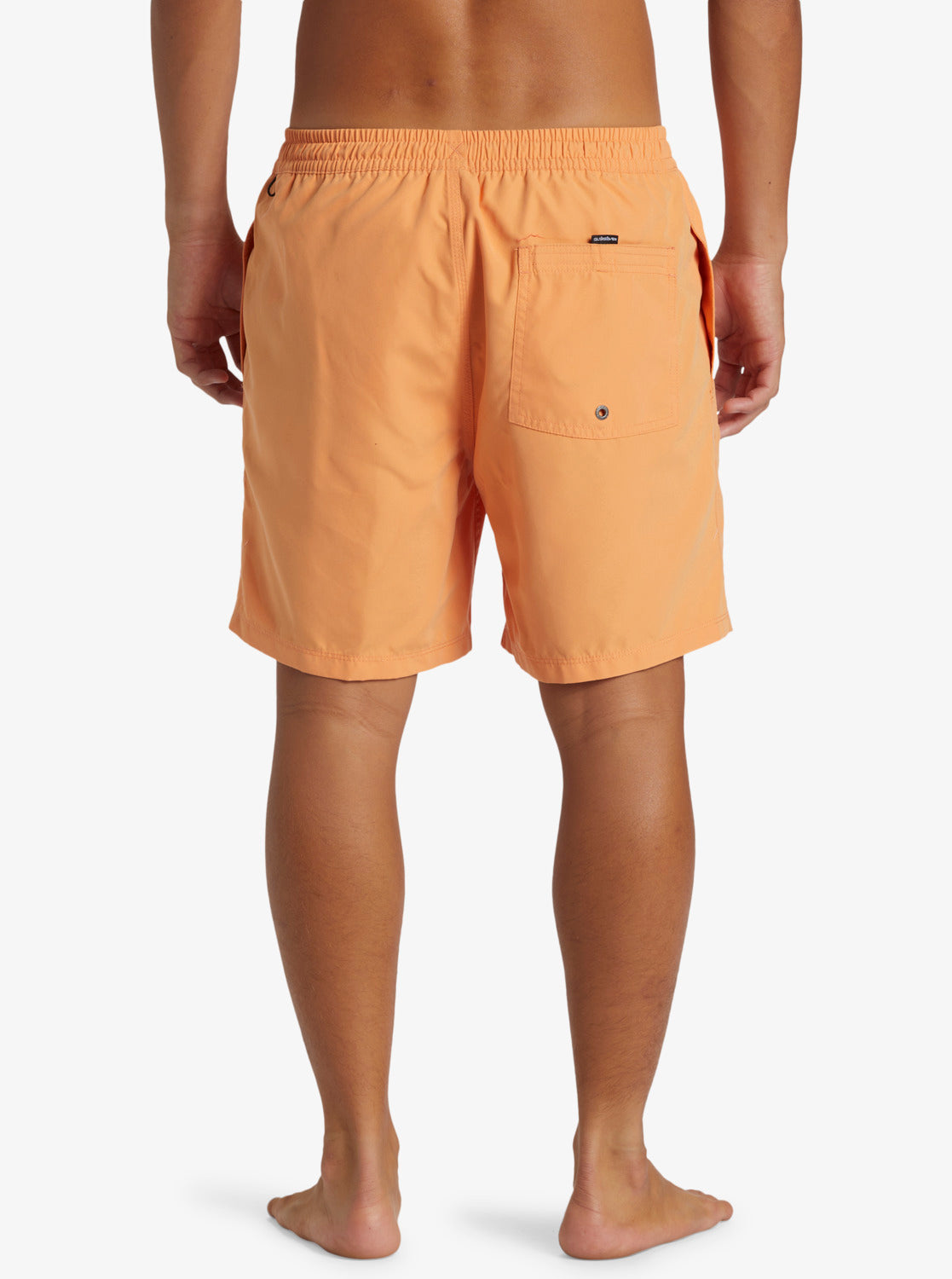 Quiksilver Men's Everyday Solid Volley 17" Swim Shorts