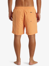 Load image into Gallery viewer, Quiksilver Men&#39;s Everyday Solid Volley 17&quot; Swim Shorts