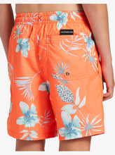 Load image into Gallery viewer, Quiksilver Boy&#39;s Everyday Mix Core 15&quot; Boardshorts
