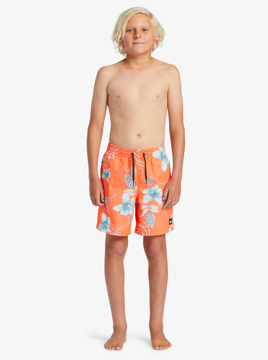 Boardshort Quiksilver Everyday Mix Core 15" pour garçon