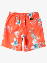 Load image into Gallery viewer, Quiksilver Boy&#39;s Everyday Mix Core 15&quot; Boardshorts