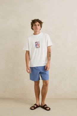 Rhythm Men's Box Jam 17" Shorts