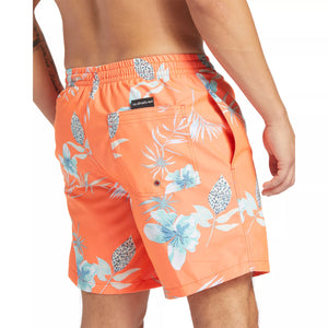 Quiksilver Men's Everyday Mix Volley 17" Swim Shorts