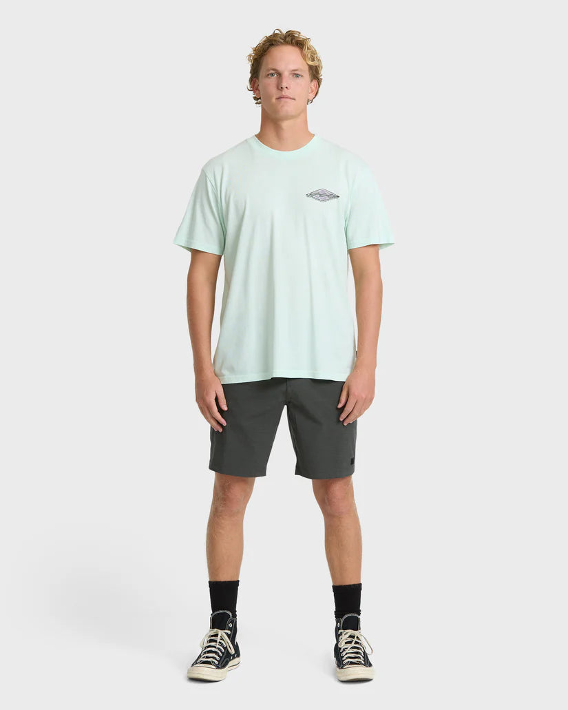 Billabong Men's Heritage Arch Premium Short Sleeve T-Shirt