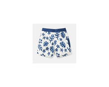 Load image into Gallery viewer, Katin Mens Kihei Surf Trunks