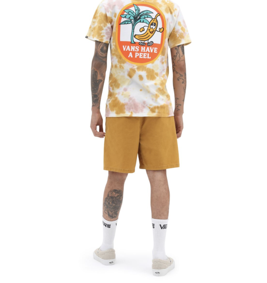 Short élastique pour homme Vans Range