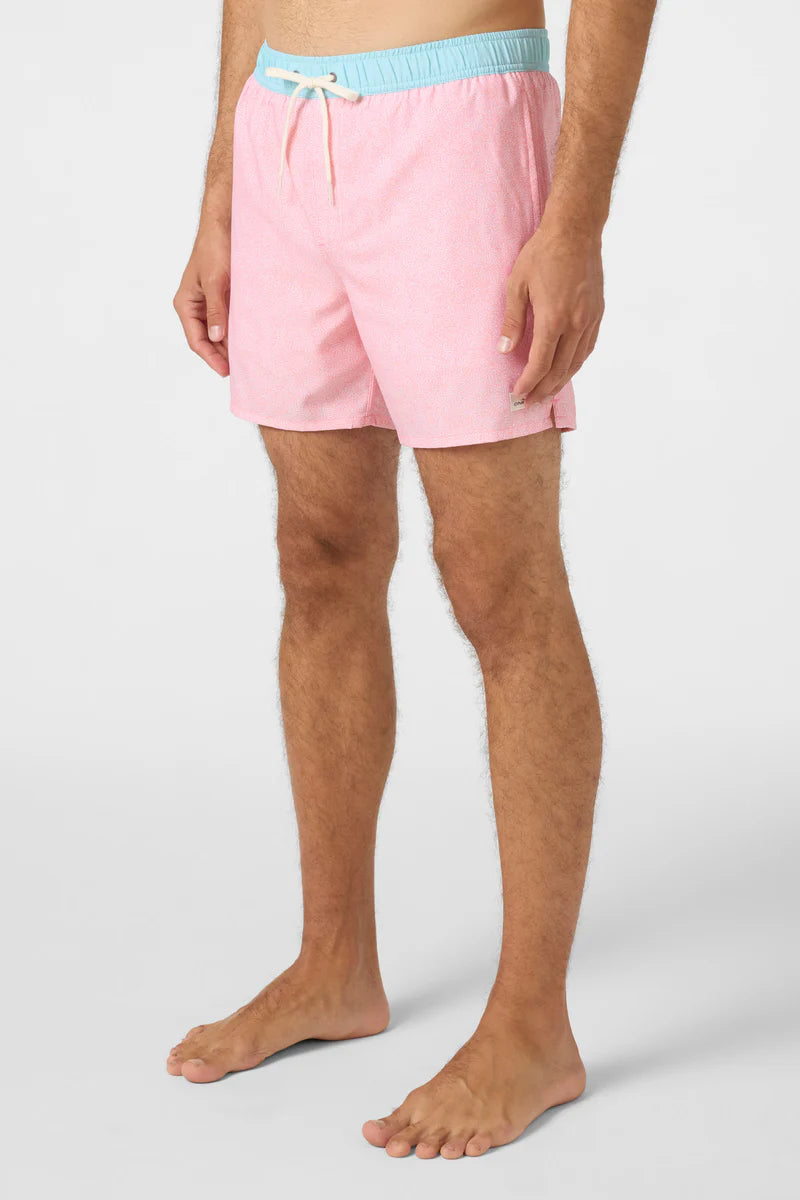 O'Neill Mens Hermosa 15" Lined Volley Swim Trunks