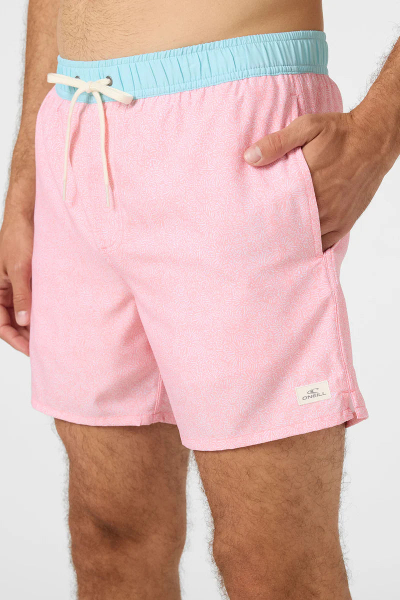 O'Neill Mens Hermosa 15" Lined Volley Swim Trunks