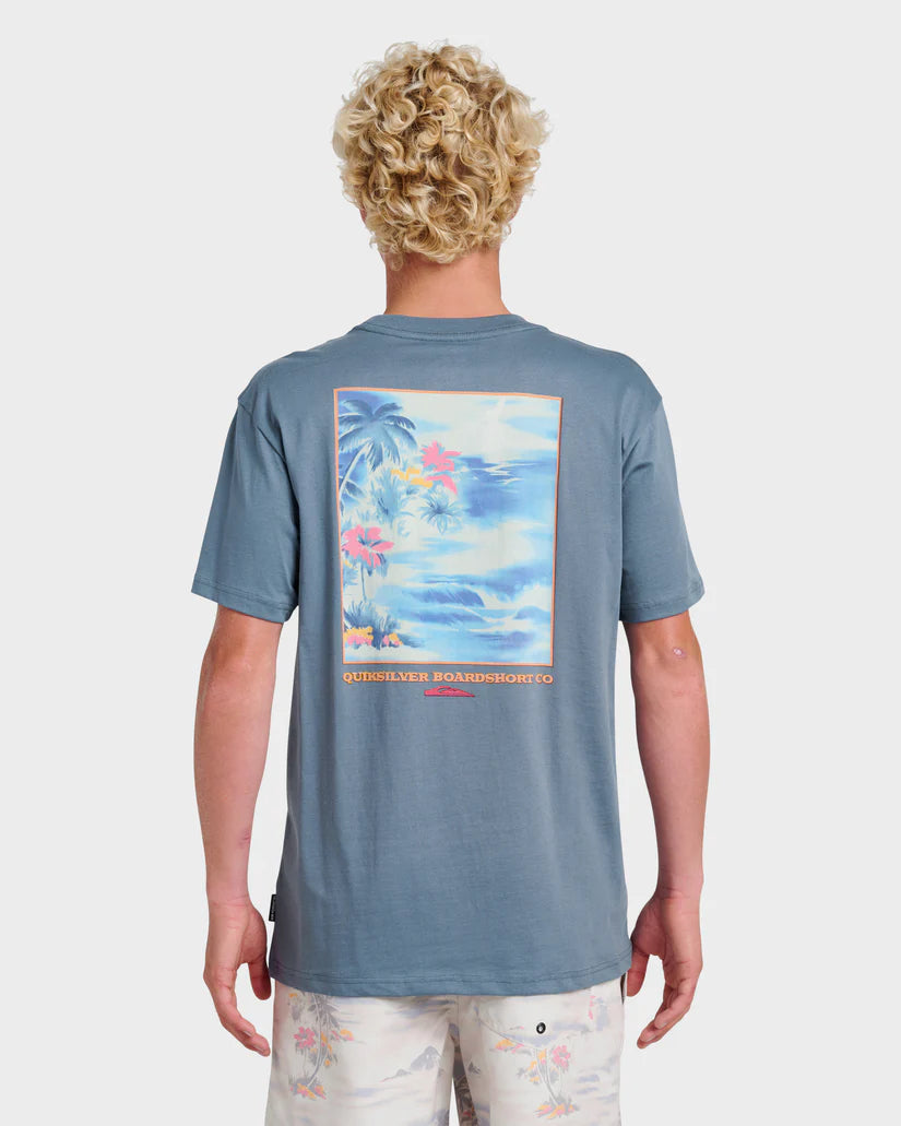 Quiksilver Mens Tropical Surf Short Sleeve T-Shirt