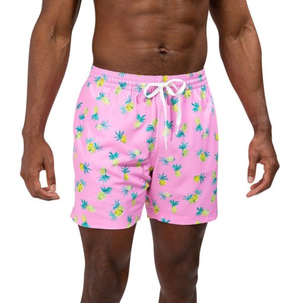 Chubbies Mens The Quick Dips 5.5" Lined Swim Trunks