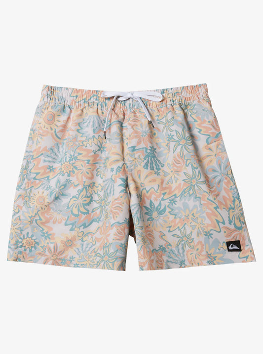 Quiksilver Men's Re-Mix 17" Swim Trunks