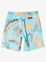 Load image into Gallery viewer, Quiksilver Boy&#39;s Re-Mix 15&quot; Volley Trunks