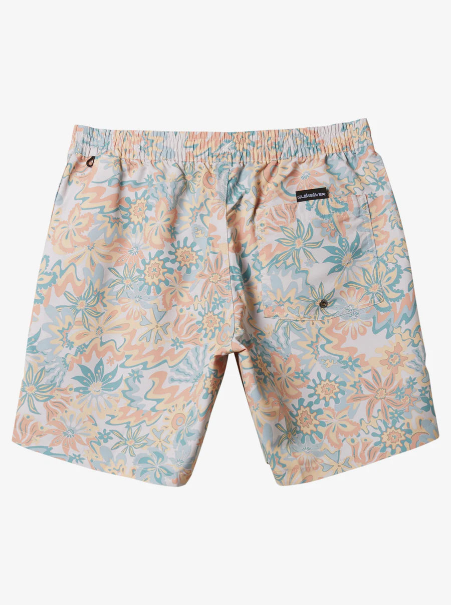 Quiksilver Men's Re-Mix 17" Swim Trunks