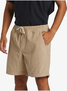 Quiksilver Taxer Cord Short Homme