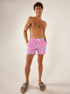 Chubbies Herren-Badehose „The Toucan Do Its“ mit Kompressionsfutter, 5,5 Zoll