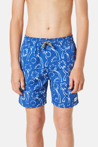 Katin Boy's Westerly Elastic Swim Trunks