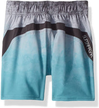 Load image into Gallery viewer, O&#39;Neill Boys Sneakyfreak Surface Quick Dry Stretch Boardshorts