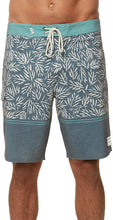 Load image into Gallery viewer, O&#39;Neill Men&#39;s Vacay 20&quot; Boardshorts